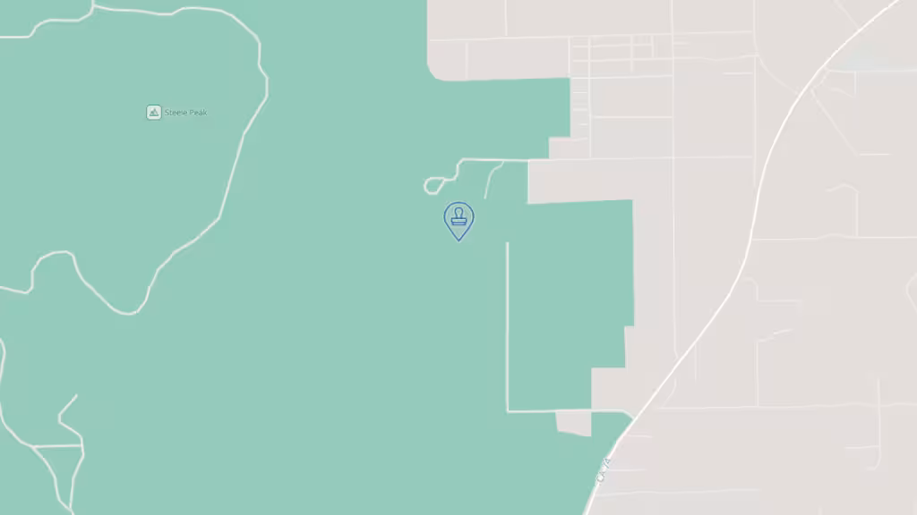 Notary Services By Nichole photo