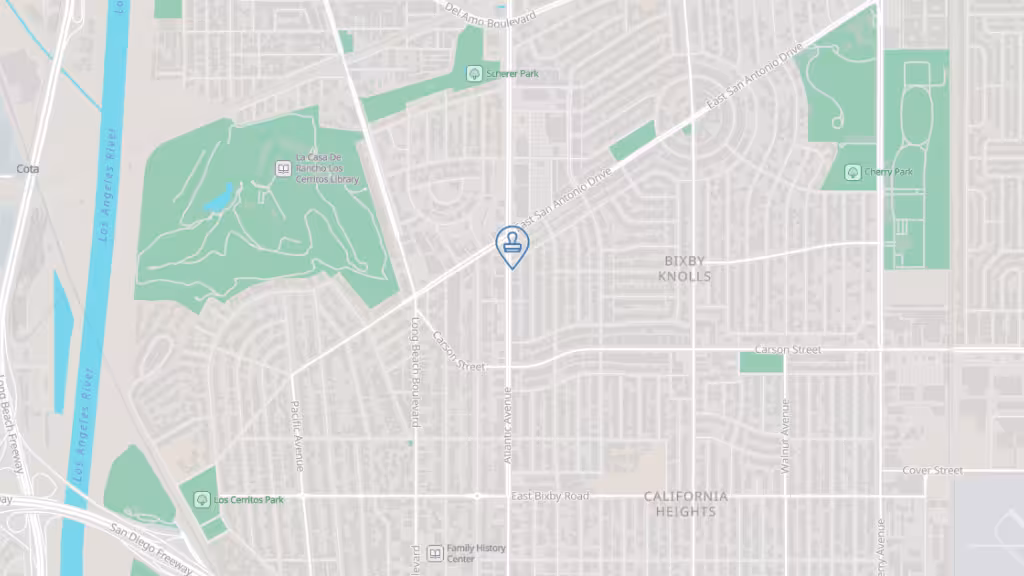 Connection Professional Services photo