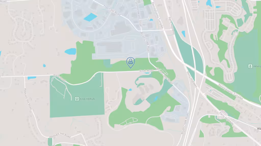 Veronica Boring, Notary Public photo