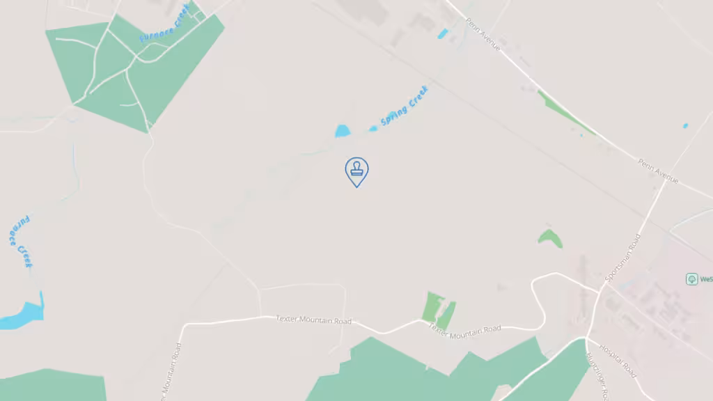 Dragonfly Notary photo