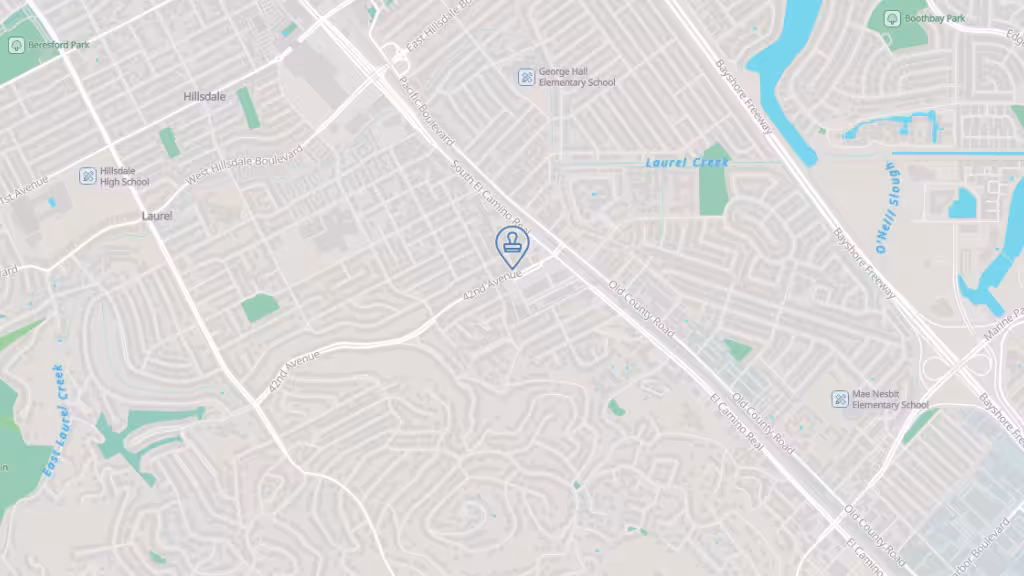 Lightning Speed Auto Registration & Notary Public photo