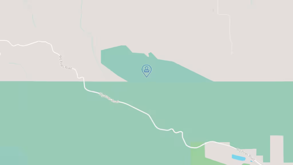 All You Need Mobile Notary photo