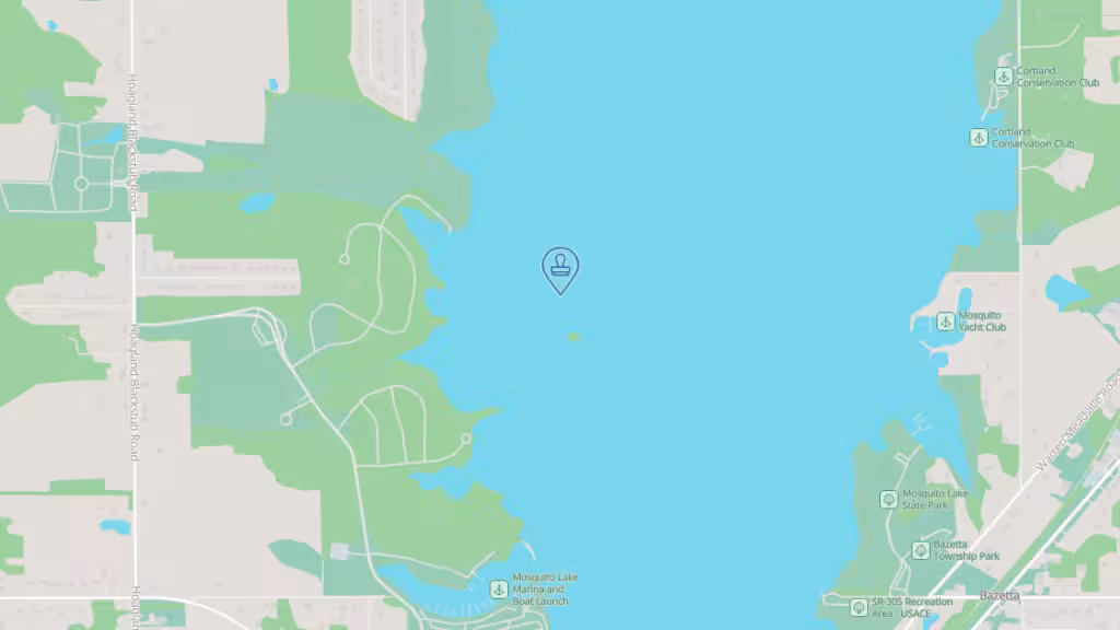 Michelle's Mobile Notary Service photo