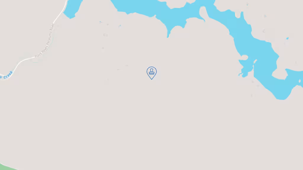 Mr Notary Public photo