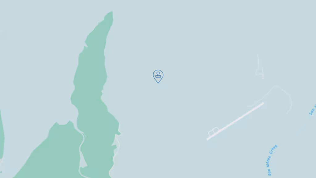 Van H. Nguyen, Notary Public photo