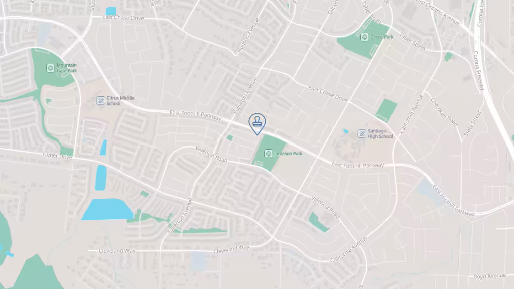 That Notary Gal photo