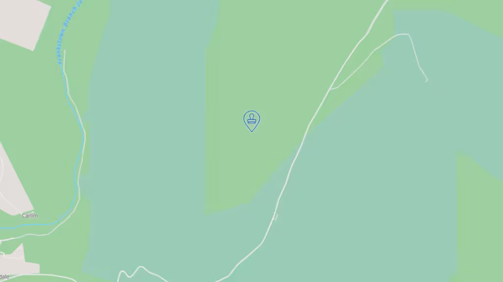 DeLisi Notary Services LLC photo