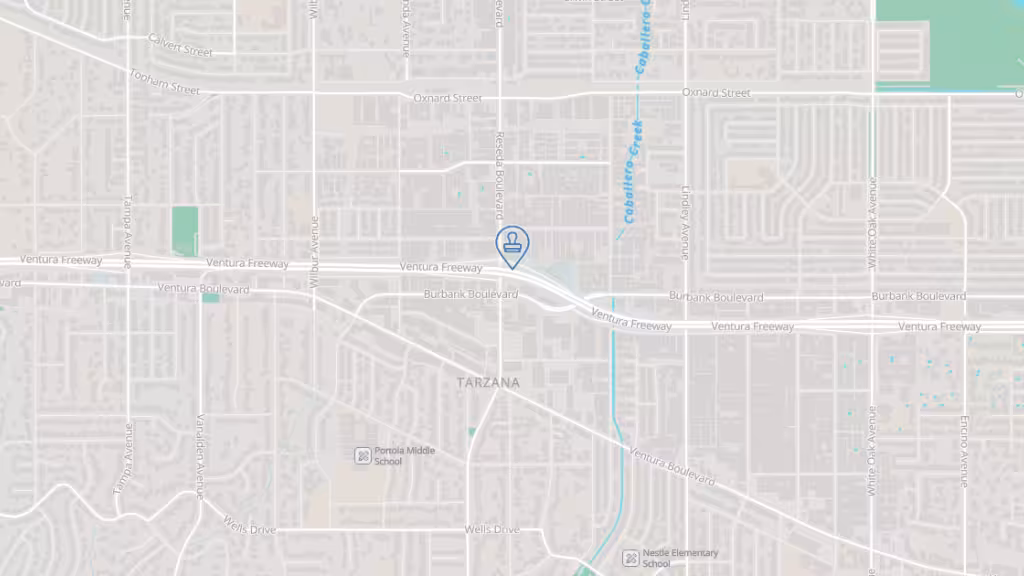 A Very Special Marriage photo