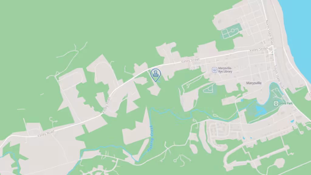 DENISE'S NOTARY SERVICE photo