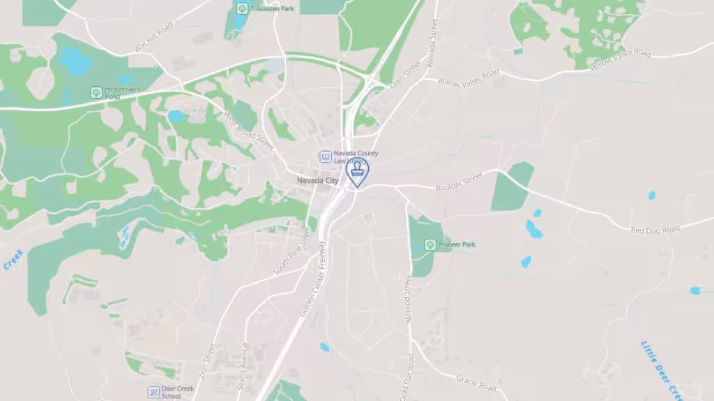 Diana De Marco Mobile Notary photo