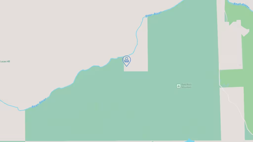 Erikka Reisinger Mobile Notary photo