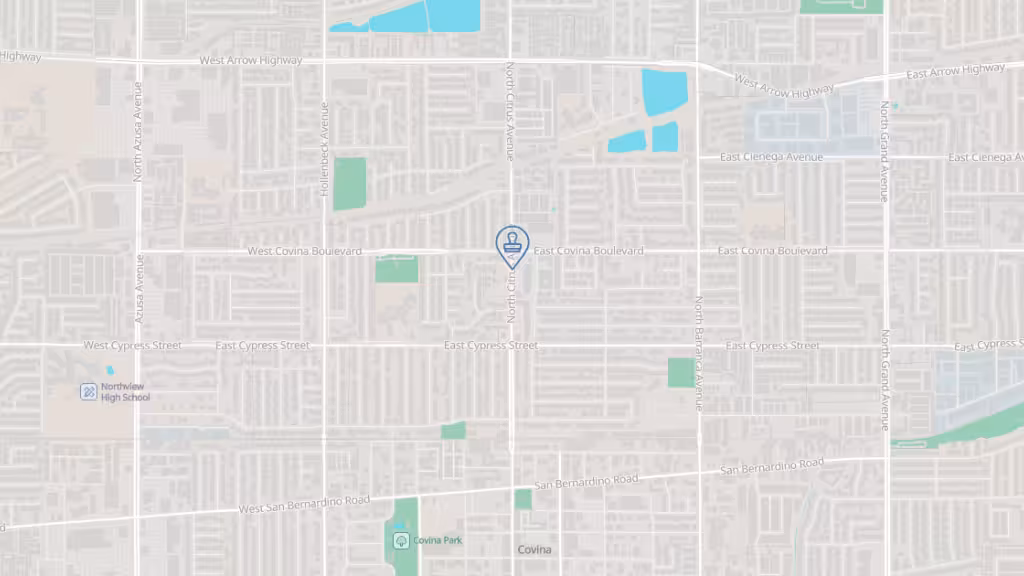 The Notary Girl photo