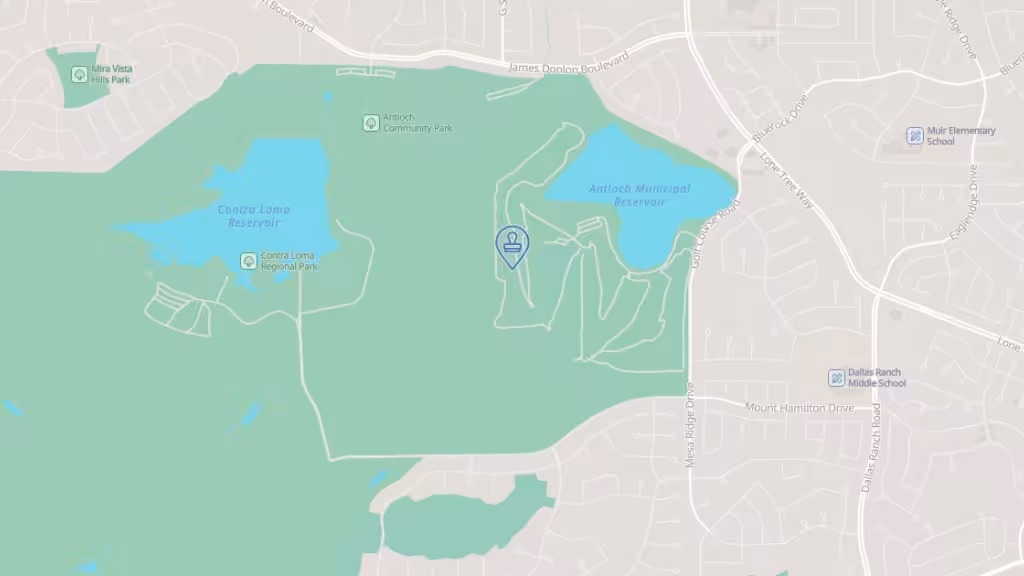 Courtney Stephens, Notary Public photo