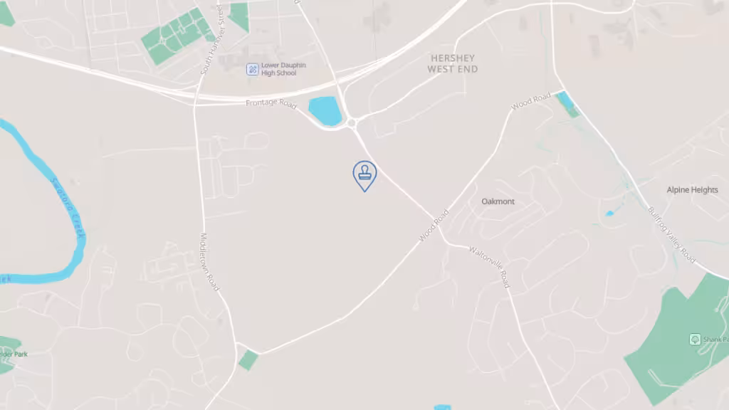 Chandra Wilson photo