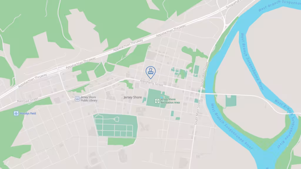 Carole Wasson Messenger Services photo