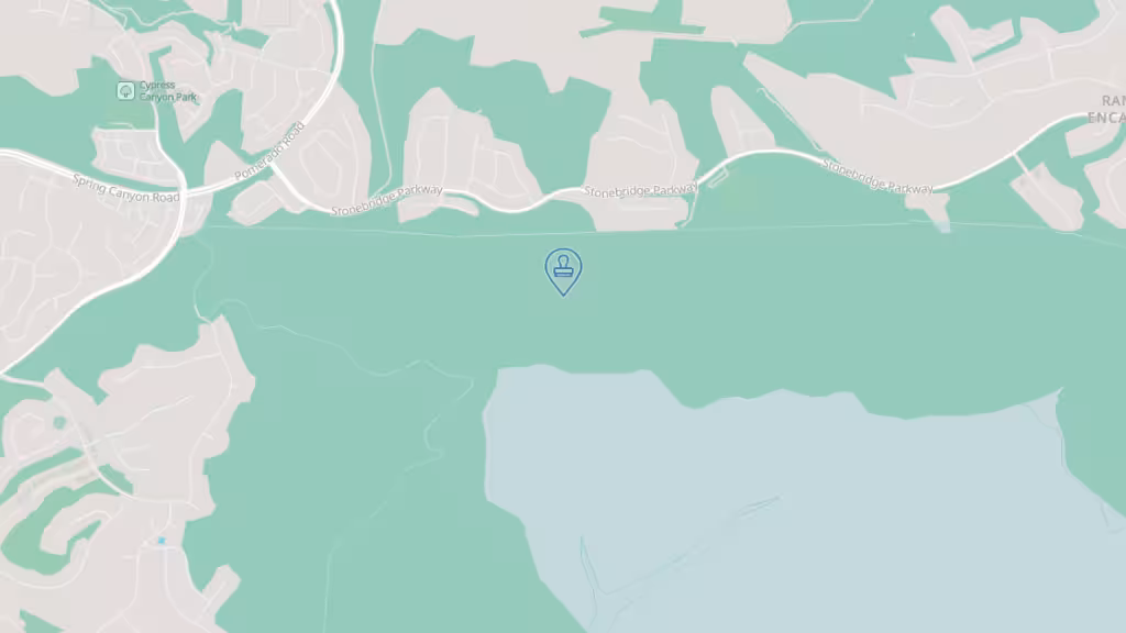 The Clean Move Notary & Apostille Services photo