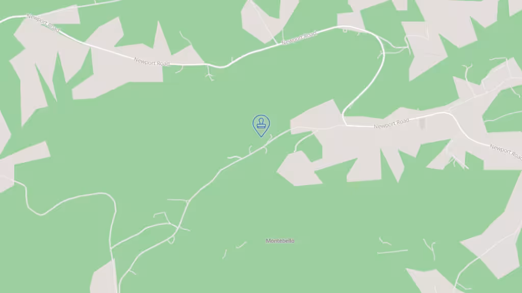 Tammy Myers Notary photo