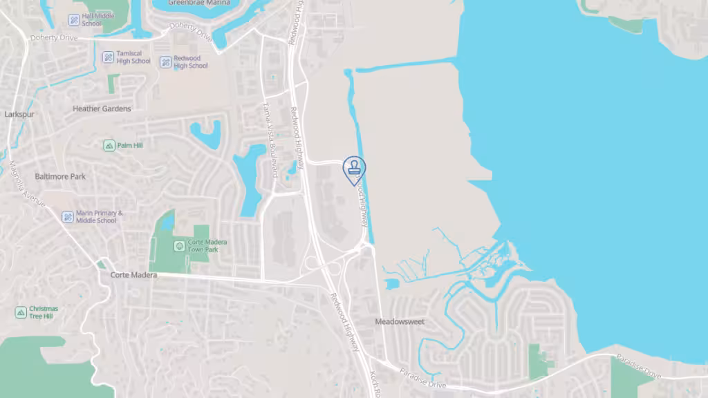 A1 Alliance Services photo