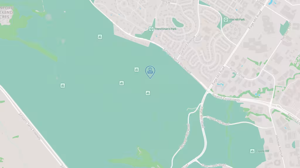 Veronica Mocanu Notary Service Bay Area photo