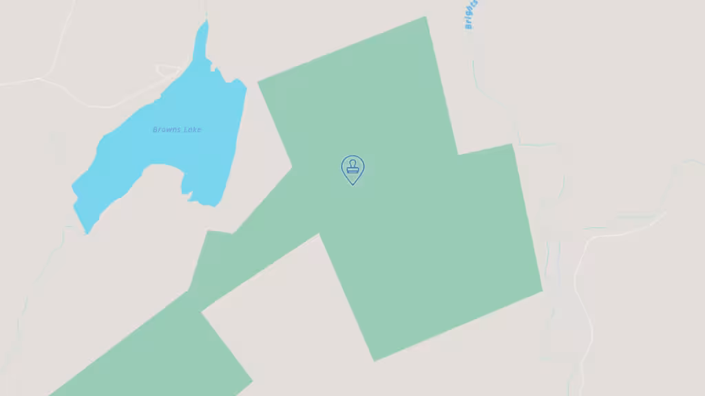 shepherd notary LLC photo