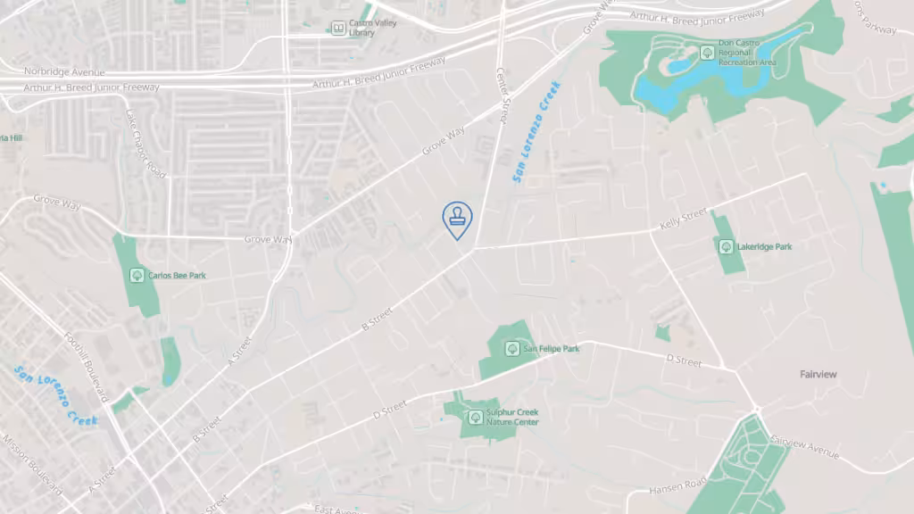 Autobuses Latinos photo