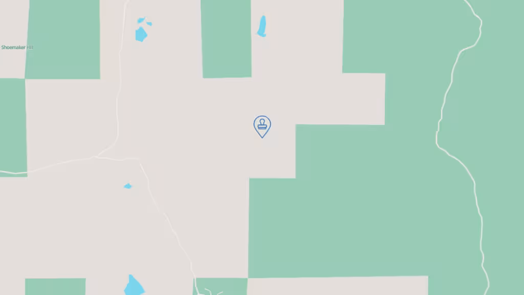 Eileen Bonner Notary Public photo