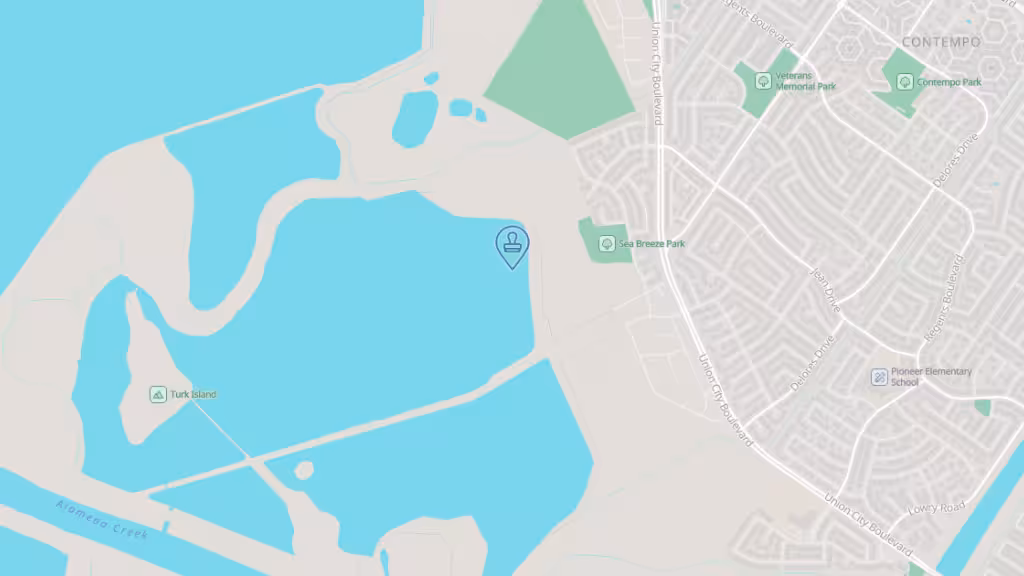 Ashley Spears - Notary Public photo