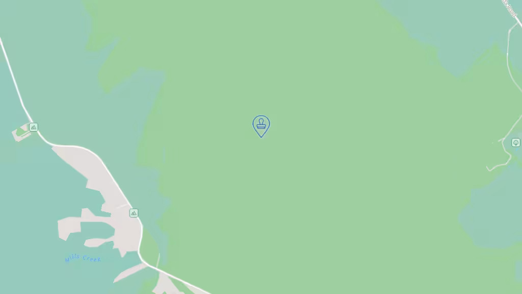 Loving Touch LLC photo