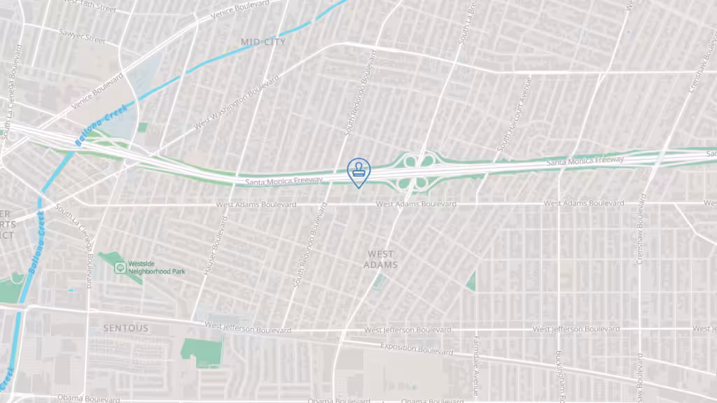 First Multi Services photo