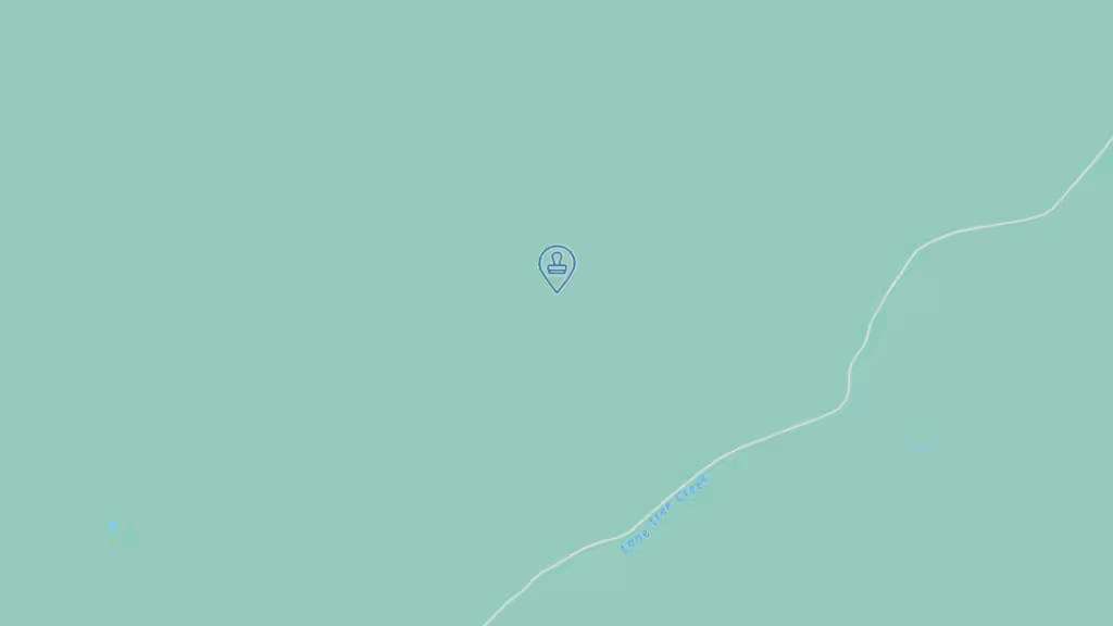 Rosas Professional Services photo