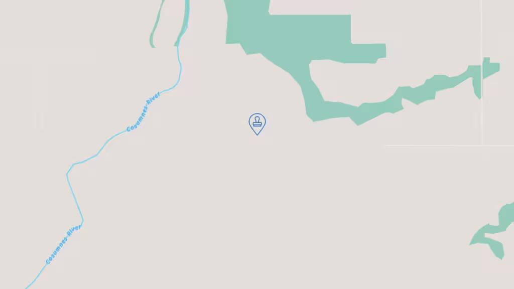 Quick notary services (hablo español) photo